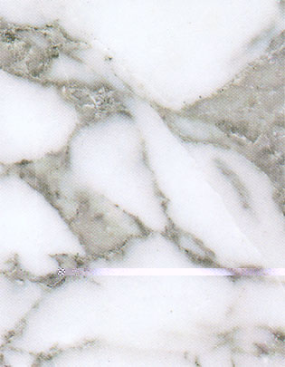 dahuabai.jpg (32239 ֽ)